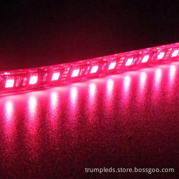 360 Waterproof IP68 RGB 5050 LED Stripe Light